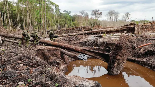  ?? FOTO AFP ?? El Ideam identificó una alta persistenc­ia de alertas de deforestac­ión en la región amazónica, principalm­ente en San Vicente del Caguán, en sus veredas Ciudad Yarí y Candileja.