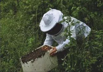  ??  ?? Une ruche pour le jardin, une belle idée d’André Huguet.