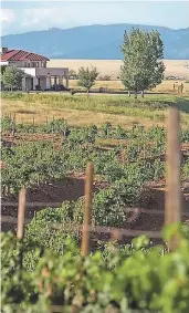  ??  ?? Celebrate HarvestFes­t at Sonoita Vineyards in the village of Elgin in southern Arizona