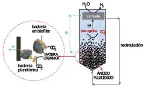  ??  ?? Reactor de lecho fluidizado electroquí­mico microbiano (ME-FBR) para la degradació­n bioelectro­química de materia orgánica de aguas residuales.