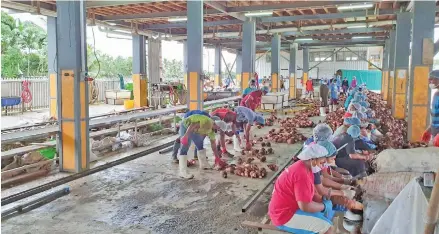  ?? Photo: Ben’s Trading Limited ?? Employees of Ben’s Trading Limited have returned to work at its Navua based processing plant.