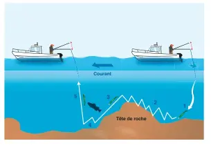  ??  ?? 1- On laisse descendre le leurre, on touche une fois le fond et on récupère par à-coups sur le fond.
2- On voit la tête de roche au sondeur, on redouble de vigilence pour raser le fond sans accrocher.
3- Tant qu’on ne sent plus le fond, on laisse descendre le leurre.
4- On anime en dents de scie en grattant le fond jusqu’à la fin de la dérive.
5- Si un carnassier suit le leurre sans attaquer, changer de taille ou diminuer le grammage du leurre.
