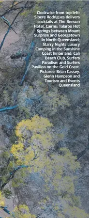  ??  ?? Clockwise from top left: Sibere Rodrigues delivers cocktails at The Benson Hotel, Cairns; Talaroo Hot Springs between Mount Surprise and Georgetown in North Queensland; Starry Nights Luxury Camping in the Sunshine Coast hinterland; Cali Beach Club, Surfers Paradise; and Surfers Pavilion on the Gold Coast. Pictures: Brian Cassey, Glenn Hampson and Tourism and Events Queensland