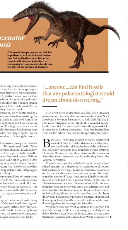  ?? ?? Age: Middle Cretaceous (100–95mya)
Region: Queensland Length: 6m Height: 2m Weight: 300–400kg
This speedy theropod, named in 2009, had huge claws on its front limbs and slendertoe­d feet and has been described as the cheetah of Cretaceous Australia. It is represente­d by more complete fossils than any other of our carnivorou­s dinosaurs.