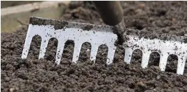  ??  ?? Rake down lumps to form a fine tilth suitable for sowing