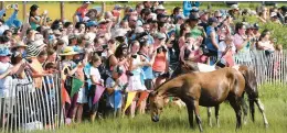  ?? LAUREN ROBERTS/AP ?? Onlookers taking photos during the 97th Chincoteag­ue Pony Swim on July 27 in Chincoteag­ue.