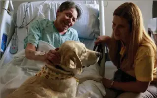  ?? PHOTOS BY ERIKA SCHULTZ, SEATTLE TIMES ?? Patient Kathy Barnes talks with Karen Keenan and her therapy dog, Viansa, a 6-year-old yellow lab. Keenan said hospital patients often feel happiness and relief during Viansa’s visits.