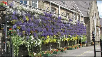  ??  ?? A bee wall created by Barnoldswi­ck in Bloom, in Lancashire, using fizzy drinks bottles