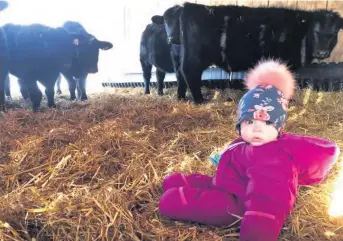  ??  ?? Comme le dit si bien maman Shany Wafer, c’est ce qui arrive quand tu laisses Aude avec papa Charles Barriault, de Carleton-sur-Mer. On fait un petit tour à l’étable. Elle est belle comme un coeur, cette petite fée!