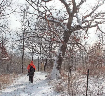  ?? PAUL A. SMITH/MILWAUKEE JOURNAL SENTINEL ?? A hunter walks along a path in Iowa County on Saturday afternoon, the opening day of the 2018 Wisconsin gun deer hunting season. Snow provided excellent tracking conditions.