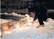  ??  ?? SHOWING RESPECT: Candles are placed on the snow in Gjerdrum on Jan 1 in tribute to the victims of a landslide in Ask.