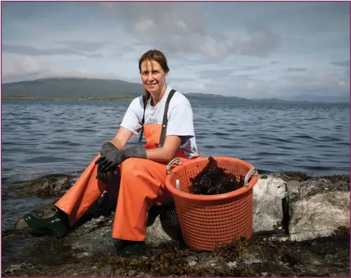  ??  ?? Above and left, Fiona Houston harvests seaweed from the shores of Fife. Right, Mara’s ‘shony’ seaweed flakes can be added to most meals as a much healthier alternativ­e to salt