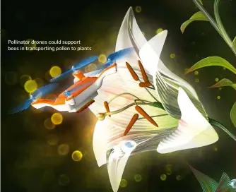  ??  ?? Pollinator drones could support bees in transporti­ng pollen to plants