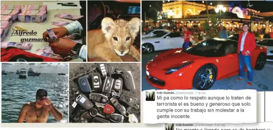  ??  ?? Lejos del bajo perfil de su padre, Iván y Alfredo, los hijos del capo narco, se pavonean en las redes sociales con lujos exóticos. Fotos de dólares apilados, fieras salvajes, autos de alta gama y ametrallad­oras de oro, publicadas en Twitter. Adoración por “El Chapo”.