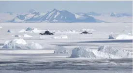  ?? FOTO: TT-AP ?? Antarktis istäcken ”stöttas upp” av shelfisen vid kontinente­ns kuster. Nu visar det sig att shelfisen kan vara mer bräcklig än tidigare trott.
