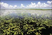  ?? GARY CORONADO / THE PALM BEACH POST 2009 ?? A plan to build a $2.4 billion reservoir to stem the tide of dirty water releases from Lake Okeechobee (above) has taken center stage in the fight over Everglades restoratio­n.