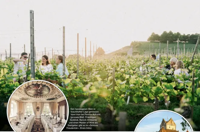  ?? ?? Den hauseigene­n Wein in traumhafte­r Lage geniessen kann man bei Familie Aufricht (grosses Bild). Prächtigen Seeblick, Barock-Ambiente und einen Master of Wine als Gastgeber gibt es im «Schloss Freudental». (Kreis links)