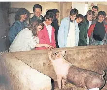  ?? FOTO: SCHOLTHEIS ?? Der Schweinest­all 1989: Bärbel Scholtheis (links hinten) besuchte damals die Landwirtsc­haftsschul­e und führte eine Klasse der Montessori-Schule Krefeld über den Weyershof.