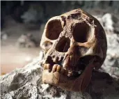  ?? CREDIT: JAVIER TRUEBA / MSF / GETTY IMAGES ?? A mold of a Homo floresiens­is skull made from fragments found in Liang Bua Cave in Flores, Indonesia.