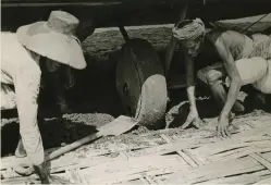  ??  ?? The Vimy “subsided to its axles” in mud at Surabaya in the Dutch East Indies (Indonesia). “Streaming in from every direction”, villagers laid tracks of bamboo cladding stripped from their houses to help extricate the aircraft from the bog and allow it to take off.