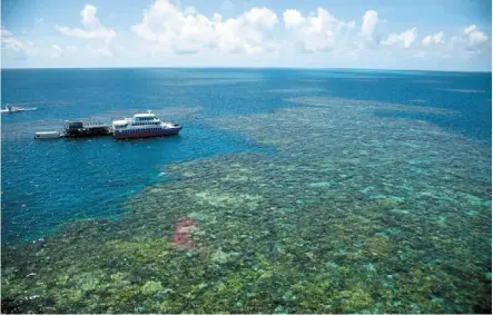  ?? ?? the Great Barrier reef is the world’s biggest single structure made by living organisms. — Photos: apple Vacations