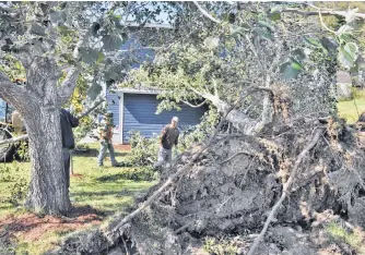  ?? FRANK GALE/THE WESTERN STAR ?? Employees of Precision Enterprise­s in Stephenvil­le work on an uprooted tree at Stephen and Bev Brown’s home that had fallen on the roof of their garage.