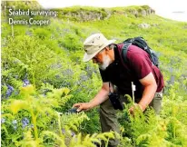  ??  ?? Seabird surveying: Dennis Cooper