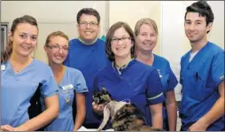  ?? Picture: Tony Flashman FM2235529 Buy pictures from kentonline.co.uk ?? VETERINARY TEAM: Rosie Wadge, Abi Cronin, Duncan Green, Kate Higgs, Filicity Birch and Andy Doel with Milly