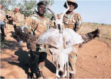  ??  ?? PLATOON commander Lieutenant Nsovo Thelele and her stick commander Lance Corporal Siza Foxie at the stick base in the Kruger Park near the border fence between South Africa and Mozambique.