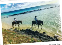  ??  ?? gentle horse ride Resort, take a guided,
At LUX* Belle Mare beach
– widest stretch of edge – the island’s along the water’s private beach table.
breakfast at your before stopping for