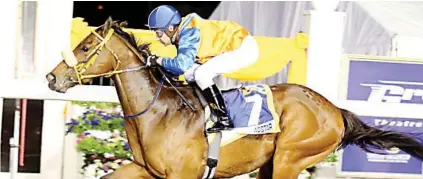  ??  ?? FORM HORSE. Asstar should have the measure of his rivals in Race 8 at Scottsvill­e, a Pinnacle Stakes over 1200m on Sunday, especially following the scratching of Barbosa.