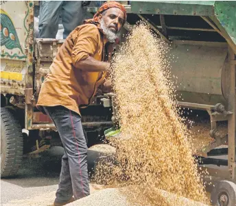  ?? — AFP photo ?? A labourer separates grains of wheat from the husk at a wholesale grain market in Ghaziabad, India.