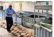  ?? — Handout ?? Chairman of Kohijau Professor Richard Ng at the NGO’s fish farm.