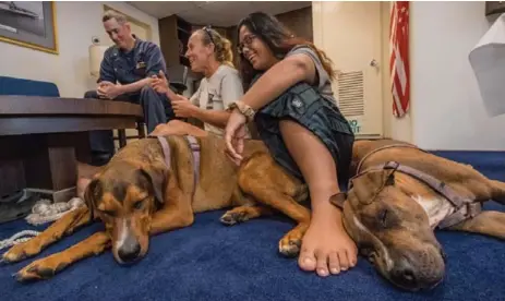  ?? JONATHAN R. CLAY/ U.S. NAVY/AFP/GETTY IMAGES ?? American mariners Jennifer Appel, centre, and Tasha Fuiava, seen with their dogs, said they were lost at sea for nearly six months before being rescued.