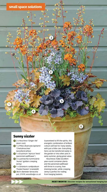  ??  ?? NEXT MONTH Discover recipes for sensationa­l hanging baskets