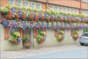  ??  ?? SPLASH OF COLOUR: Flower boxes like these add splashes of colour all over Zurich, brightenin­g the dreariest of days, says Sandy Williams.