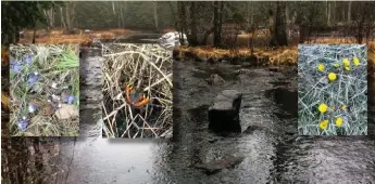  ??  ?? Många vill ge sig ut för att njuta av naturen i coronatide­r.