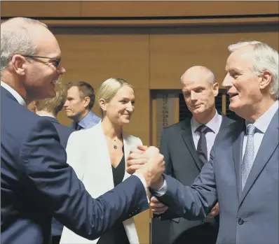  ?? PICTURE: JOHN THYS/AFP/ GETTY IMAGES ?? TALKS: Irish foreign minister Simon Coveney, left, with EU chief Brexit negotiator Michel Barnier