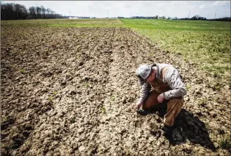  ??  ?? Because of his no-till and cover-crop approach, Lane Osswald finds earthworms on his family’s farm in Preble County. No-tilling keeps the soil firm to the ground, preventing it from washing away — along with nutrients and other chemicals. “When our kids farm, there will be good quality soil left to do that in,” he said.