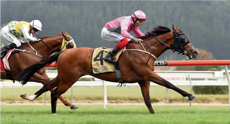  ?? RACE IMAGES NI ?? Wyndspelle and jockey Jason Waddell power clear in the Captain Cook Stakes yesterday at Trentham.