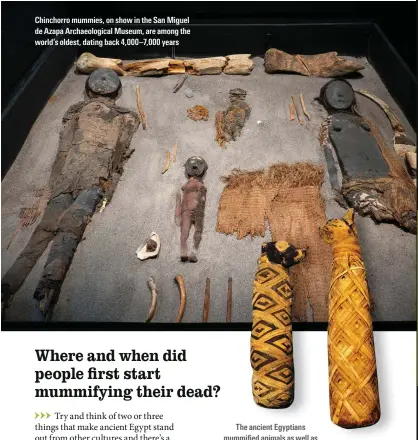  ?? ?? Chinchorro mummies, on show in the San Miguel de Azapa Archaeolog­ical Museum, are among the world’s oldest, dating back 4,000–7,000 years The ancient Egyptians mummified animals as well as people, including this dog and cat