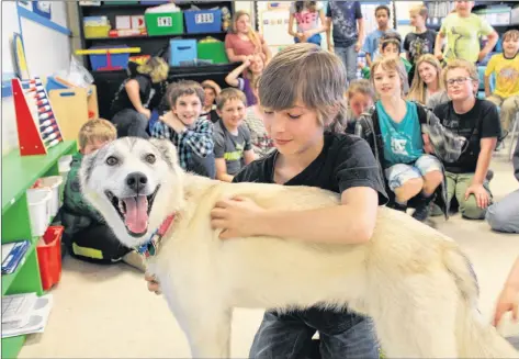  ??  ?? Port Maitland Grade 5 student Isaiah Rhyno gives sled dog Jerry a hug as fellow students look on.