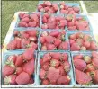  ?? Photograph submitted ?? The Pea Ridge Farmers Market opened on Sunday for the season and featured strawberri­es from McGarrah Farms. The market will be open on Sundays from 10 a.m. to 4 p.m. through the season.