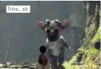  ??  ?? Trico... sit.