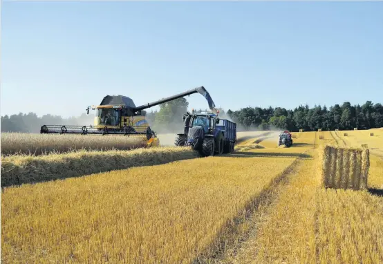  ??  ?? Out on the farm PA reader Christina Simpson took this picture of the harvest at Meikleour Estates