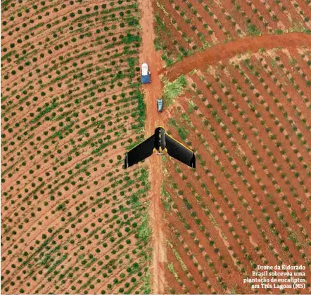  ?? Divulgação/Eldorado Brasil ?? Drone da Eldorado Brasil sobrevoa uma plantação de eucaliptos em Três Lagoas (MS)