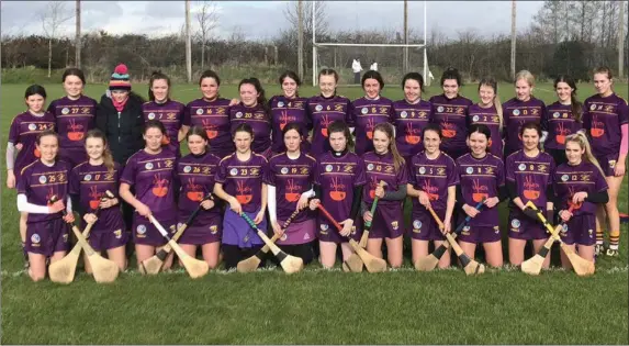  ??  ?? Loreto Wexford, who lost out to St. Angela’s Ursaline in the All-Ireland Colleges Senior ‘A’ semi-final.