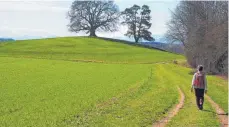  ??  ?? Tour zum Barbarossa­stein: Hinter der Friedensli­nde kommen die Berge zum Vorschein.