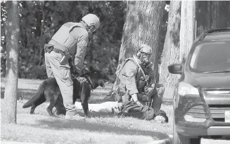  ?? THE CANADIAN PRESS ?? Members of an RCMP emergency response unit arrest a suspect in Neepawa, Man., on Thursday after the shooting of an officer in Onanole, Man., on Wednesday night.