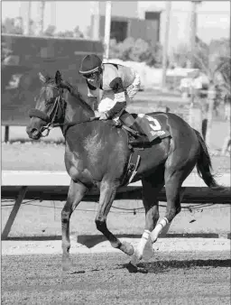  ?? BENOIT PHOTO ?? Galilean, who won the Barretts Juvenile at Los Alamitos in September, runs Sunday for Hollendorf­er in the King Glorious.